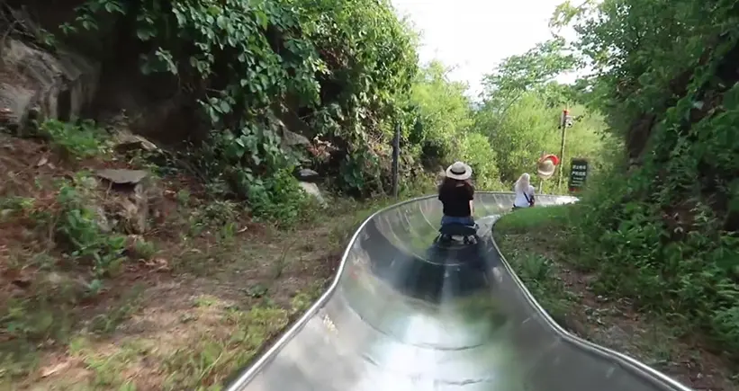 Chairlift/Toboggan