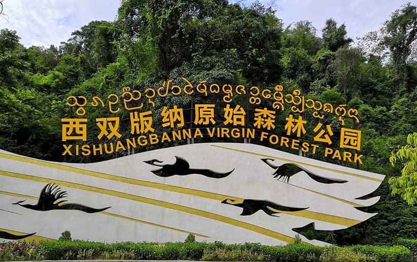 Xishuangbanna Primitive Forest Park