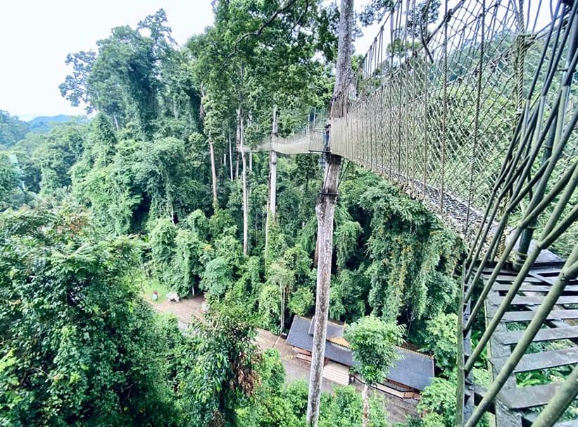 Top 10 Things to Do in Xishuangbanna