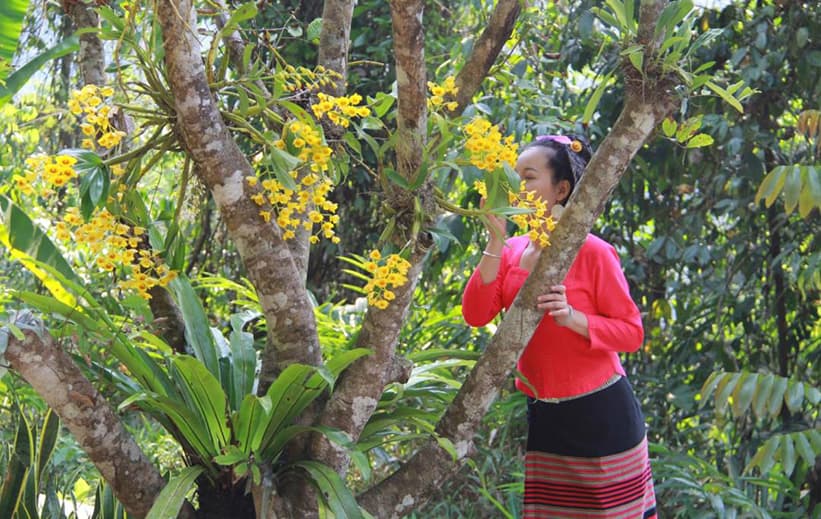 Xishuangbanna Tropical Botanical Garden
