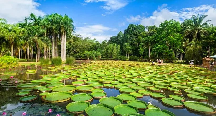 Xishuangbanna Tropical Botanical Garden
