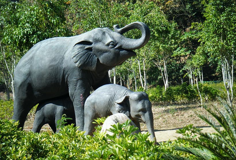 Wild Elephant Valley