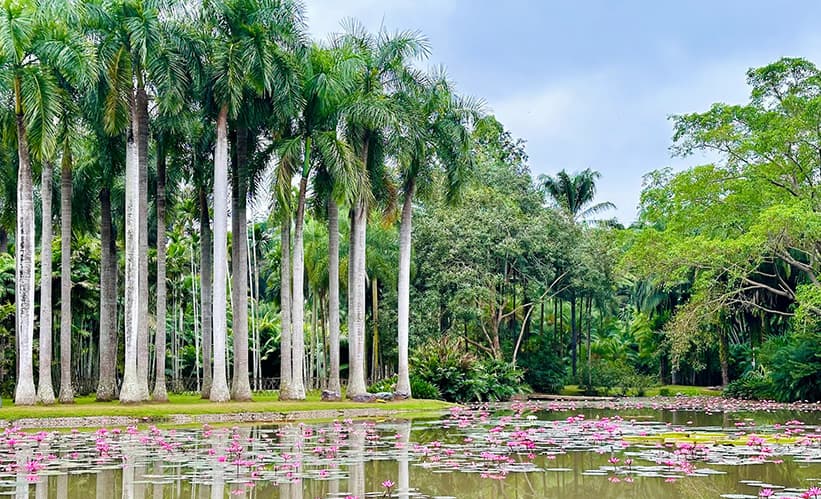 The Guide to Visiting Xishuangbanna
